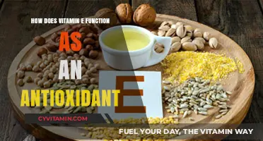 Unlocking the Power of Vitamin E: Your Body's Antioxidant Shield