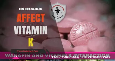 Exploring the Impact of Warfarin on Vitamin K Levels