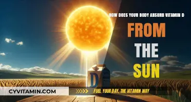 Sun-Kissed Nutrition: Unveiling the Secrets of Vitamin D Absorption