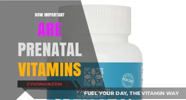 Nourishing Beginnings: The Vital Role of Prenatal Vitamins
