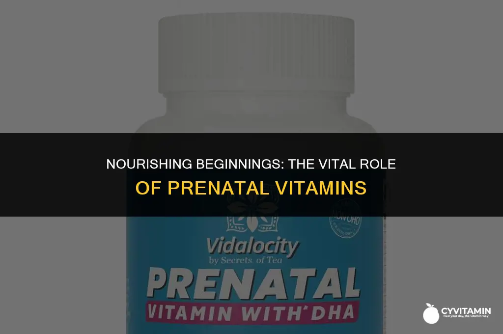 how important are prenatal vitamins