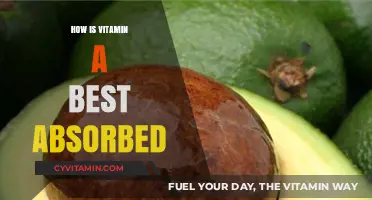 Maximizing Vitamin A Absorption: Essential Tips for Optimal Health Benefits