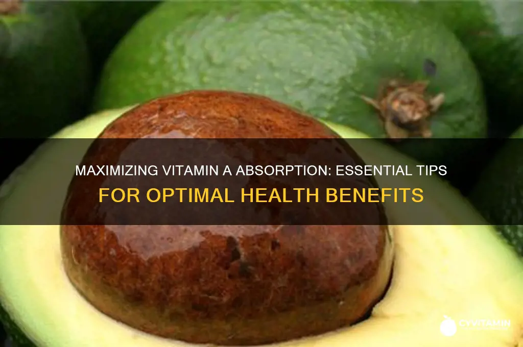 how is vitamin a best absorbed