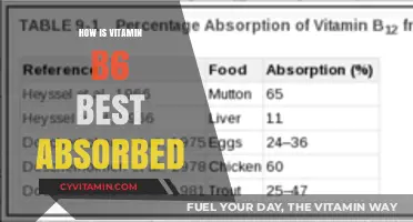 Maximizing Vitamin B6 Absorption: Essential Tips for Optimal Health Benefits