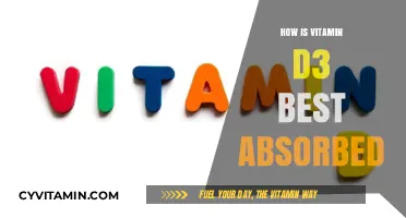 Maximizing Vitamin D3 Absorption: Best Practices for Optimal Health
