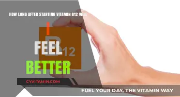 Revitalizing Energy: The Timeline to Feeling Better with Vitamin B12