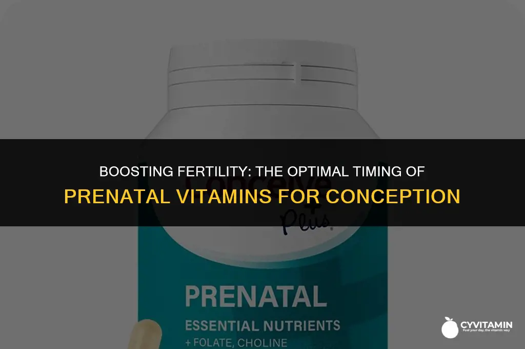 how long after taking prenatal vitamins can you get pregnant