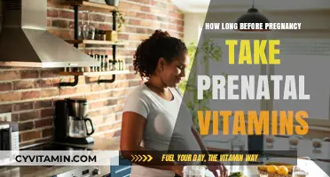 Optimizing Prenatal Health: When to Start Taking Prenatal Vitamins