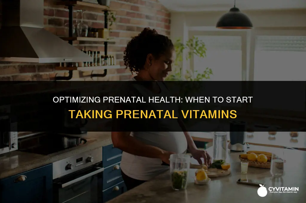 how long before pregnancy take prenatal vitamins