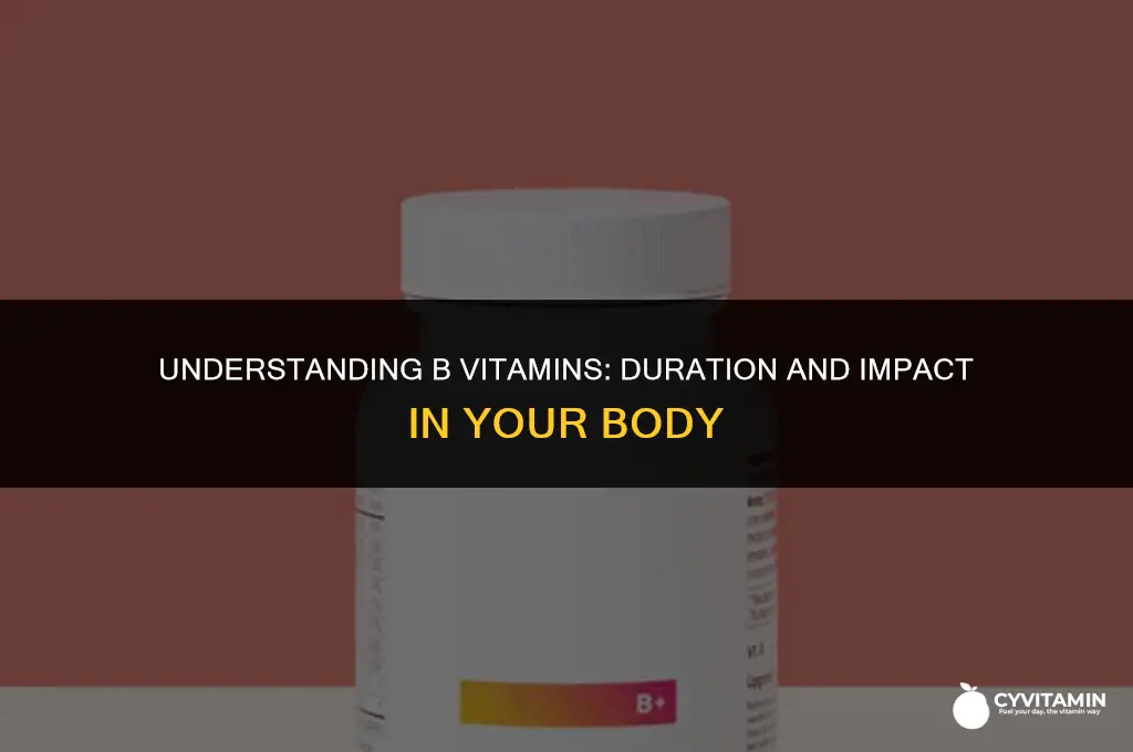 how long do b vitamins stay in your system