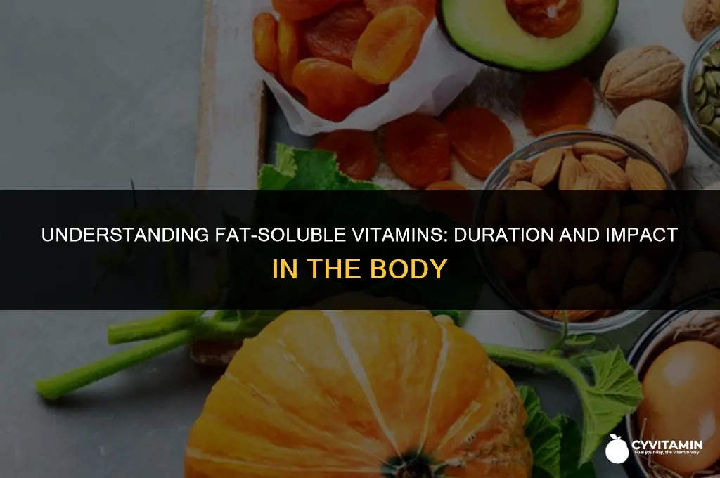 how long do fat soluble vitamins stay in the body