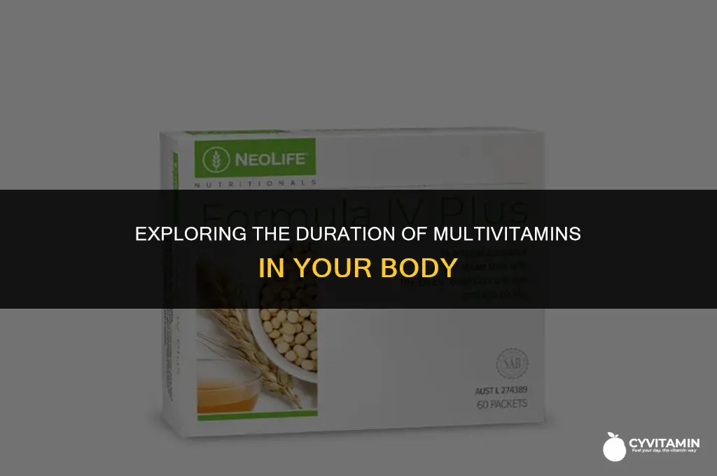 how long do multivitamins stay in your system