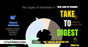 Unveiling the Digestive Journey of Vitamins: A Comprehensive Guide