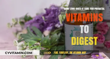Understanding Prenatal Vitamin Absorption: A Digestive Timeline