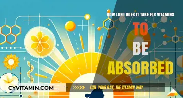 Unlocking Nutrient Absorption: A Timeline for Vitamin Integration