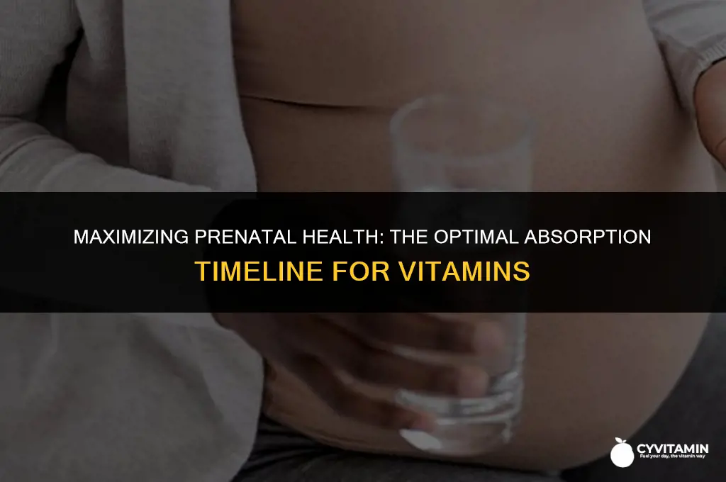 how long does it take to absorb prenatal vitamins