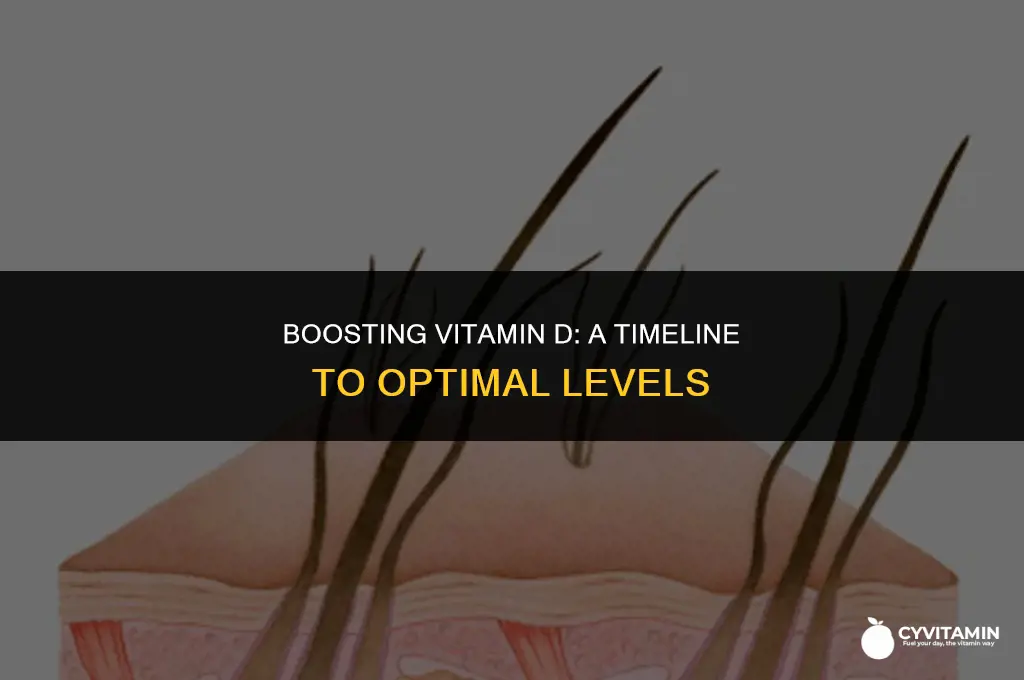 how long does it take to restore vitamin d levels
