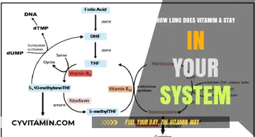 Exploring the Duration of Vitamin A in Your Body