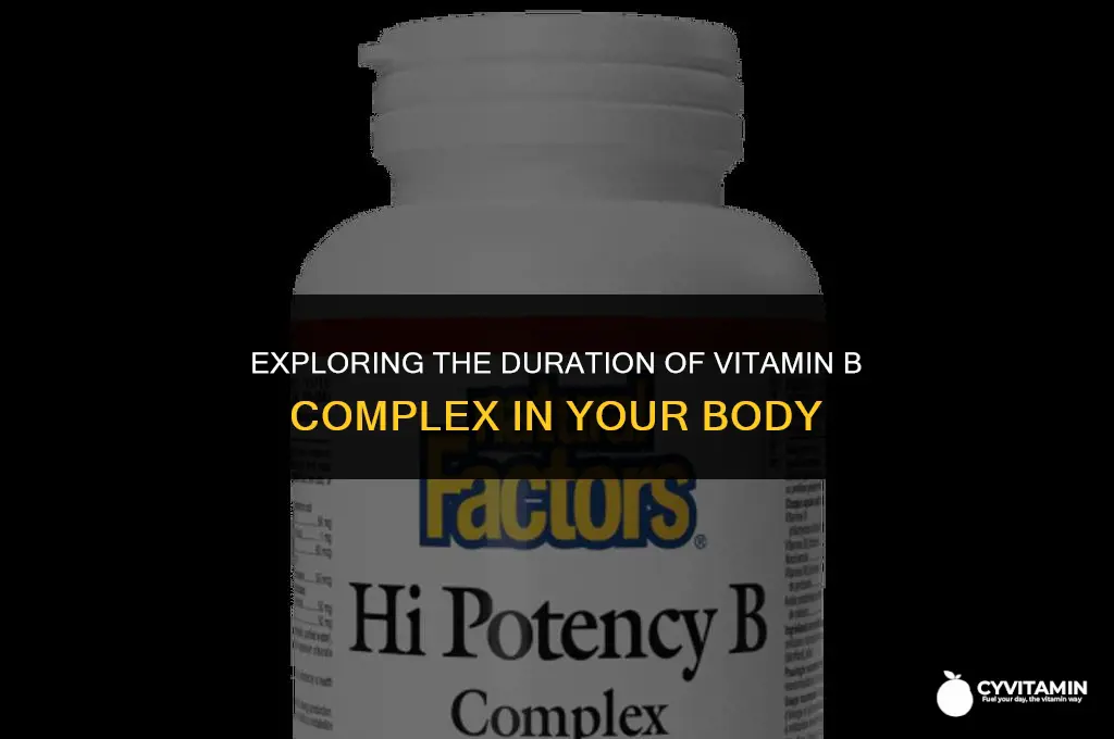 how long does vitamin b complex stay in your system