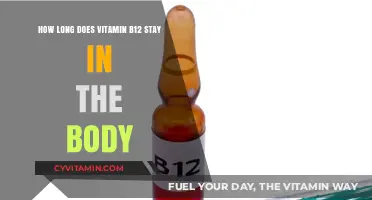 Exploring the Duration of Vitamin B12 in Your System