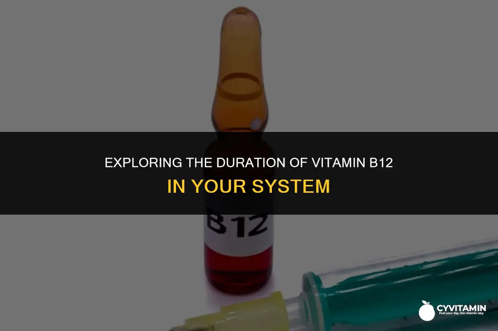 how long does vitamin b12 stay in the body