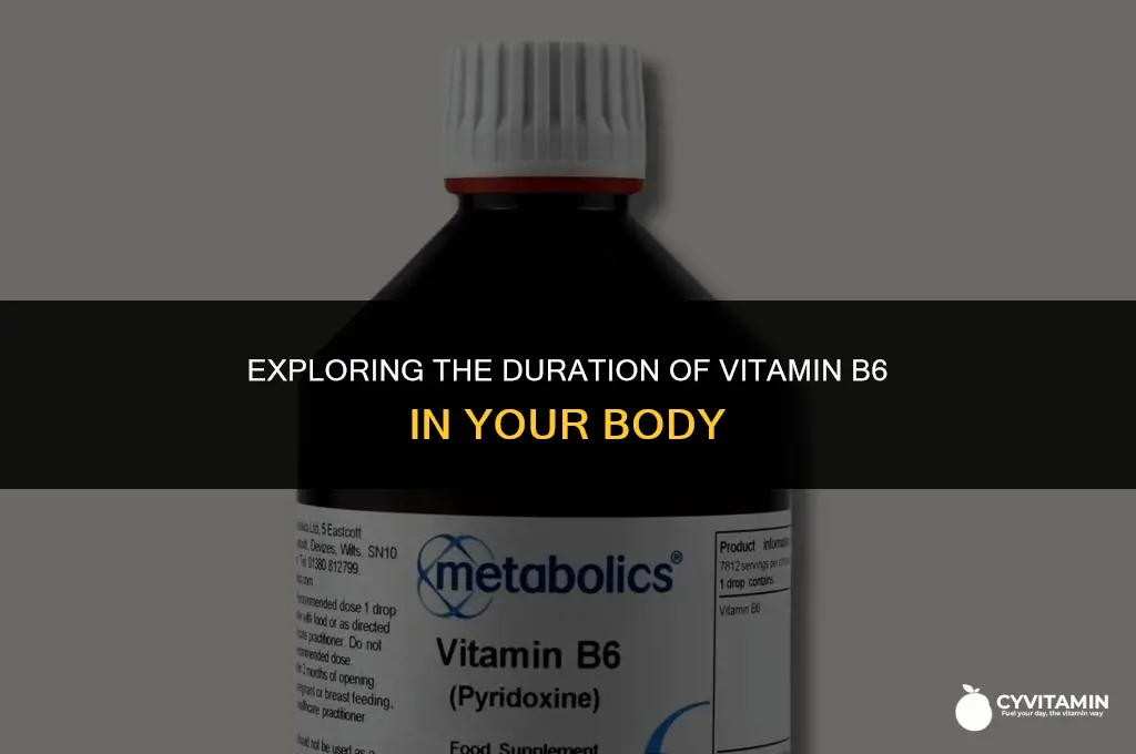 how long does vitamin b6 stay in your system