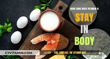 Understanding Vitamin D: Duration and Effects in the Human Body