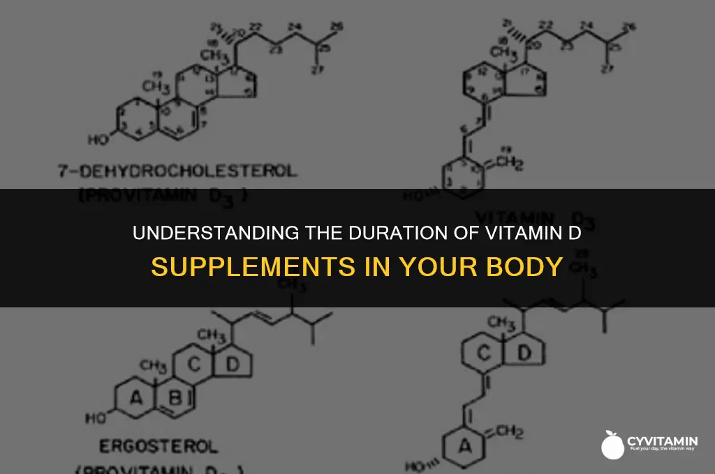 how long does vitamin d supplement stay in your system