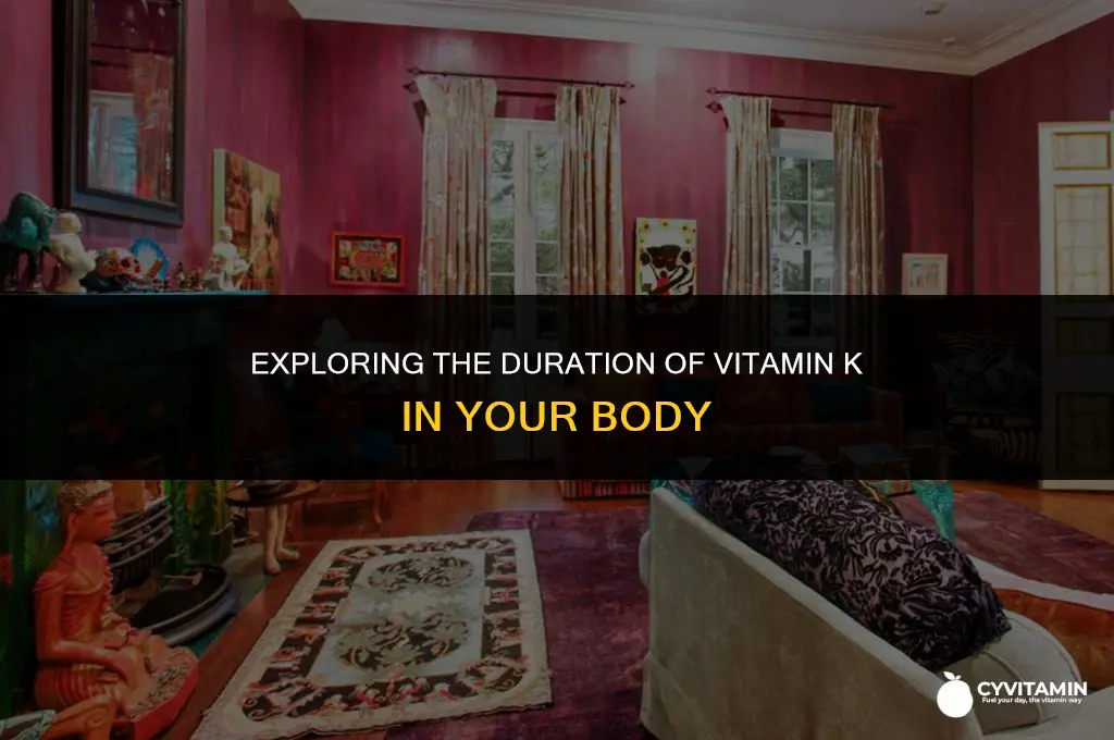 how long does vitamin k stay in your system