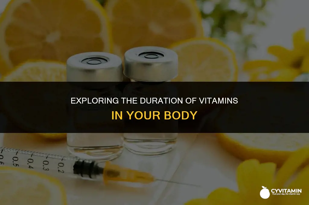 how long does vitamins stay in your system