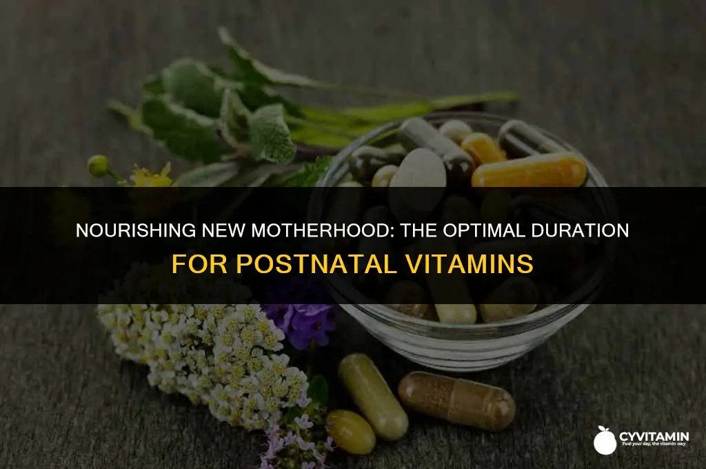 how long should i take postnatal vitamins