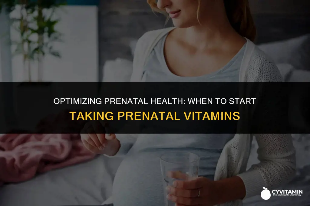how long should i take prenatal vitamins before getting pregnant