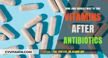 Timing Your Vitamins: A Guide to Post-Antibiotic Supplementation