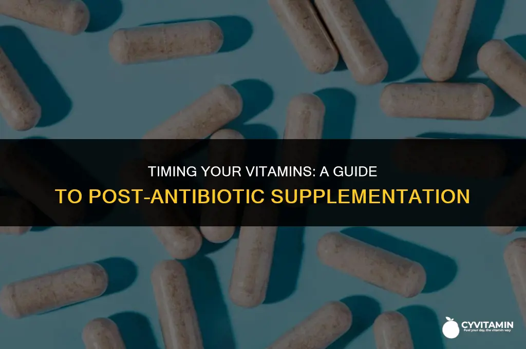 how long should i wait to take vitamins after antibiotics