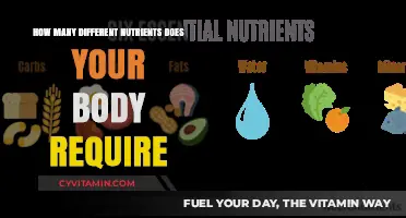 Essential Nutrients: Unlocking the Building Blocks of Optimal Health
