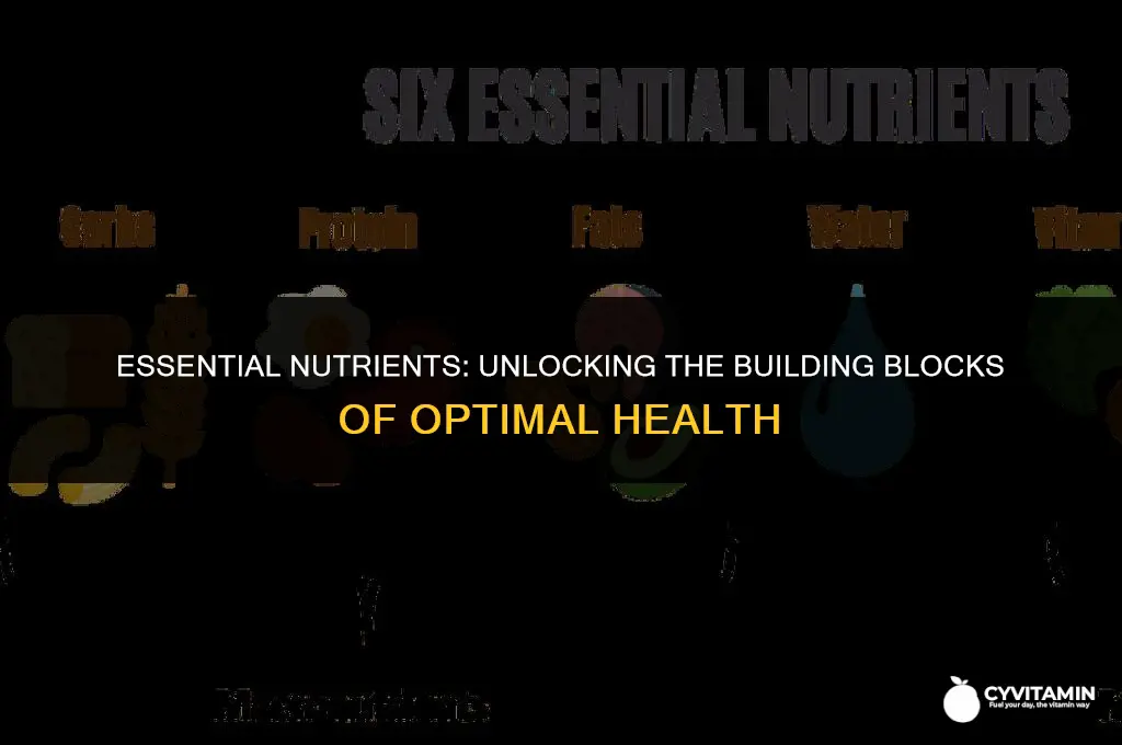 how many different nutrients does your body require
