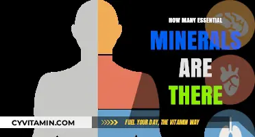 Unveiling the Core Minerals Vital for Optimal Health and Wellness