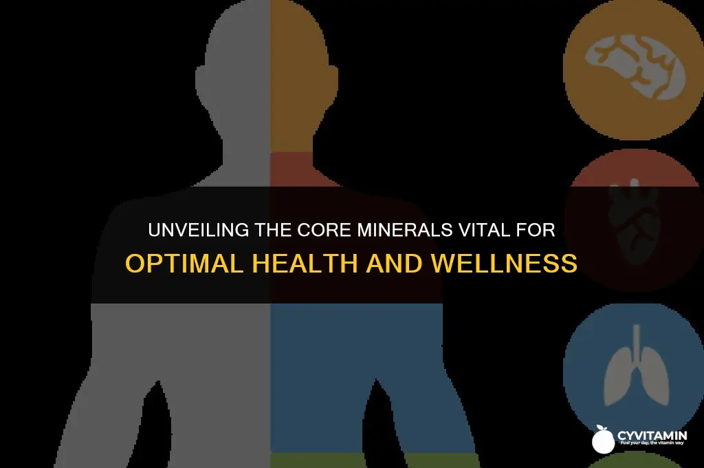 how many essential minerals are there