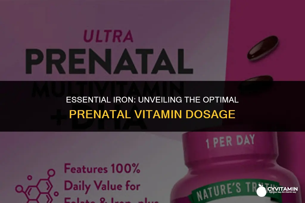 how many mg of iron in prenatal vitamins