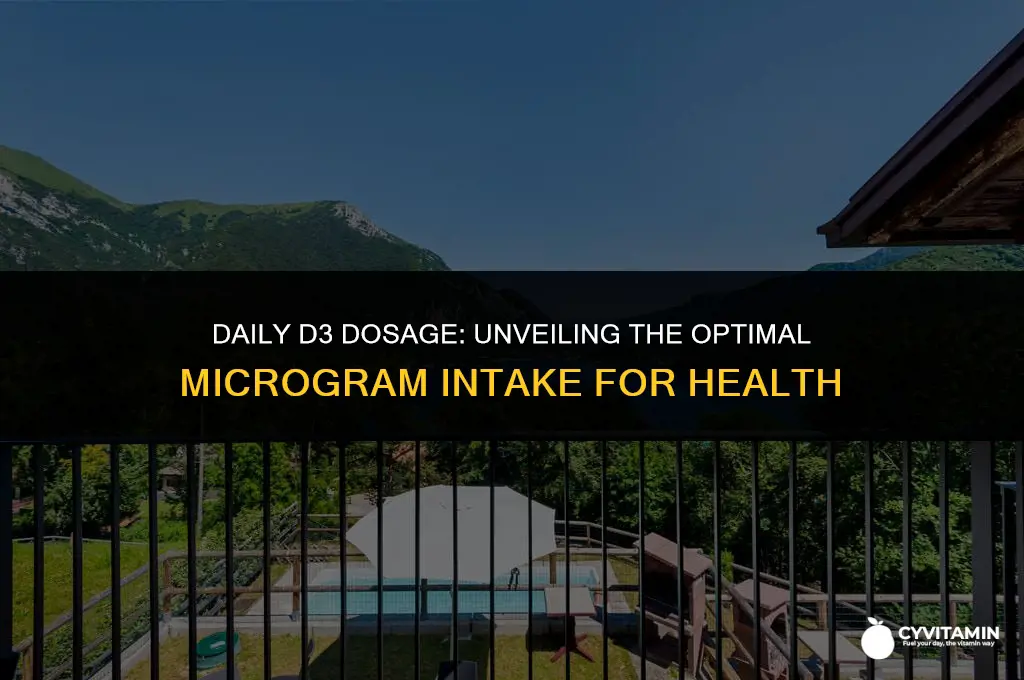 how many micrograms of d3 per day
