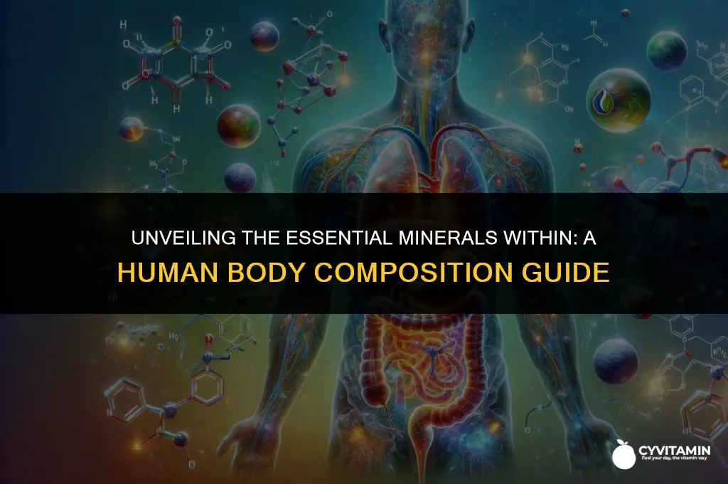 how many minerals are there in the human body