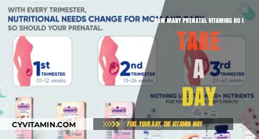 Prenatal Vitamins: Your Daily Dose for a Healthy Pregnancy