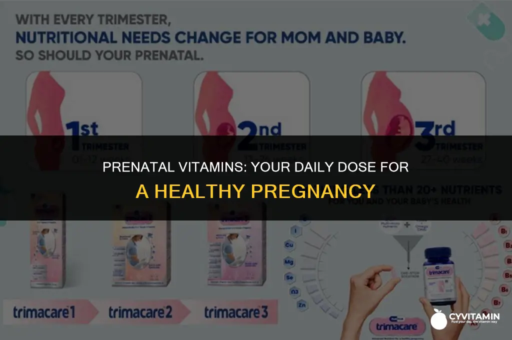 how many prenatal vitamins do i take a day