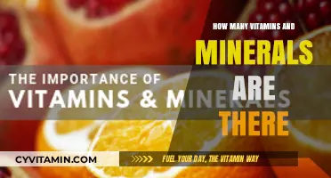 Exploring the Essential Nutrients: A Guide to Vitamins and Minerals