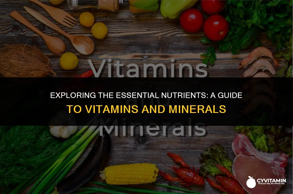 how many vitamins and minerals are there