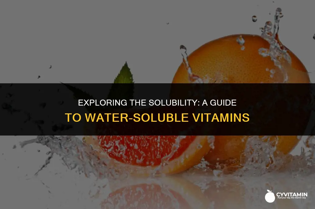how many water soluble vitamins are there