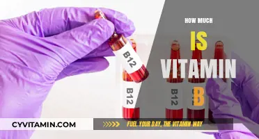 Exploring the Cost of Vitamin B: A Comprehensive Guide