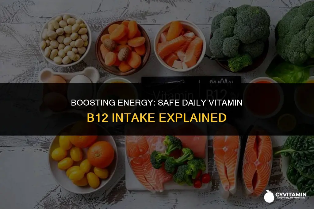 how much vitamin b 12 can i take a day