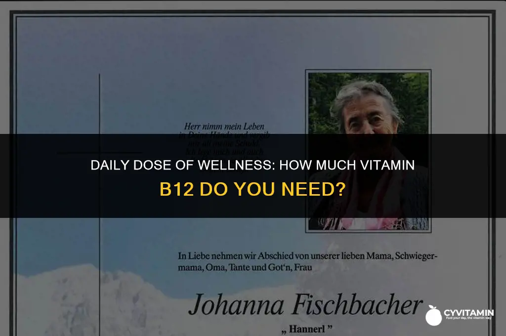 how much vitamin b 12 per day