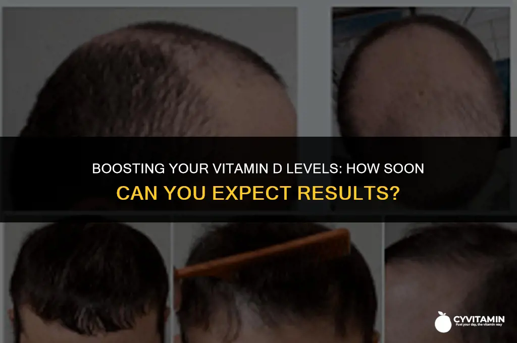 how quickly will vitamin d supplement work